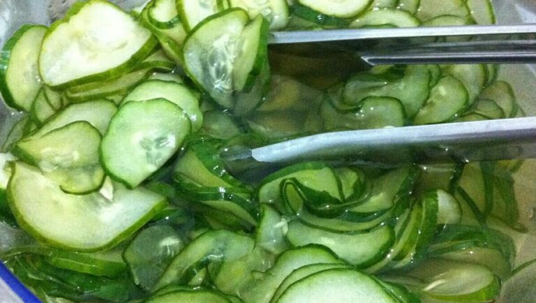 Receitas com Pepino: Delícias Refrescantes e Econômicas